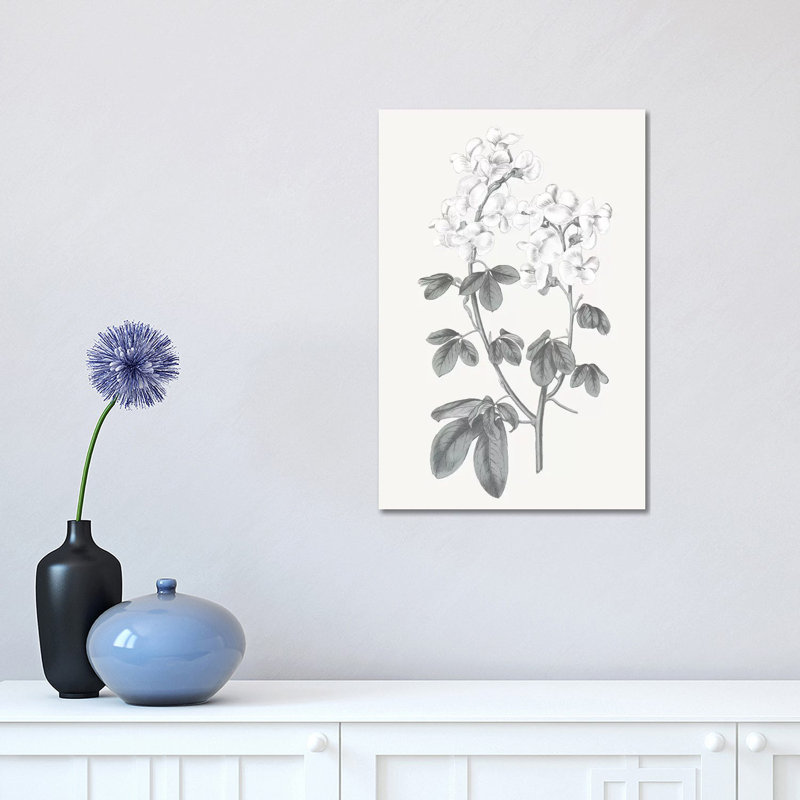 Neutral Botanical III - Wrapped Canvas Painting, 45.72cm H x 30.48cm W x 1.905cm D