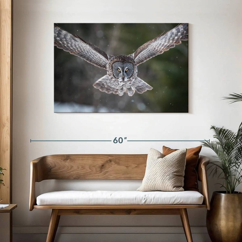 Brampt Flying Winter Owl, 30" H x 45" W