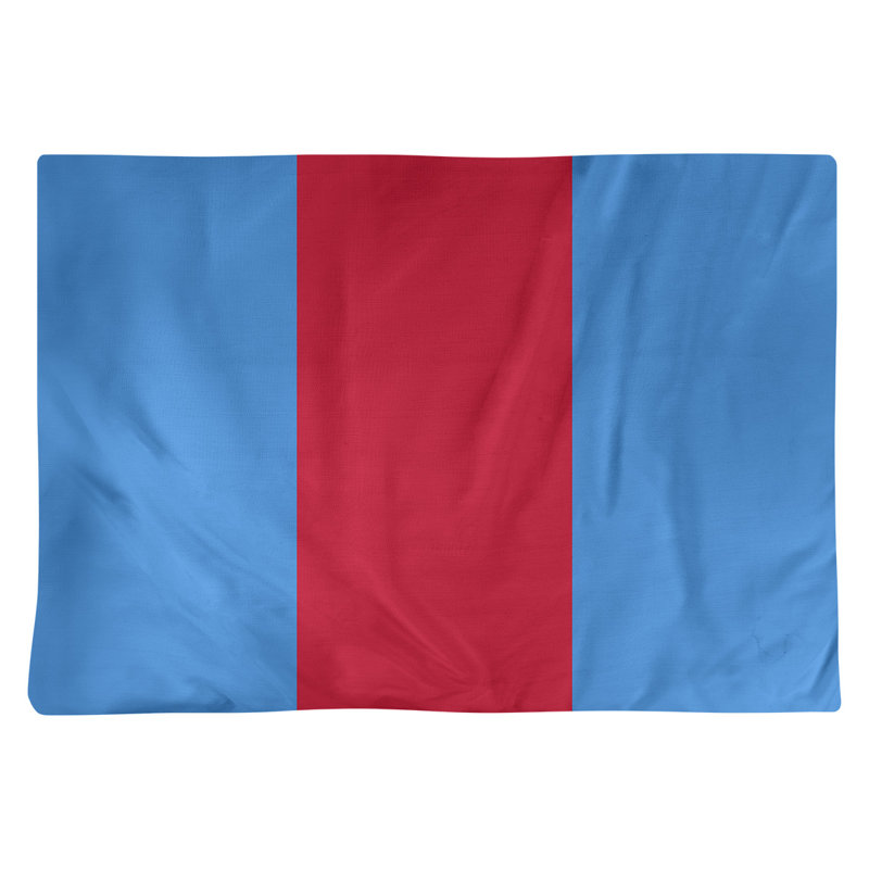 Récapitulatif 18" à rayures de football Houston, Bleu / Rouge