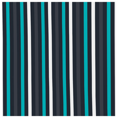 Édredon à rayures bleues et noires