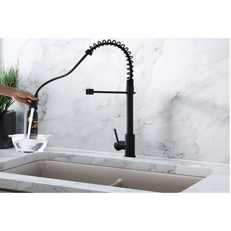Robinet de cuisine Commercial, Noir mat