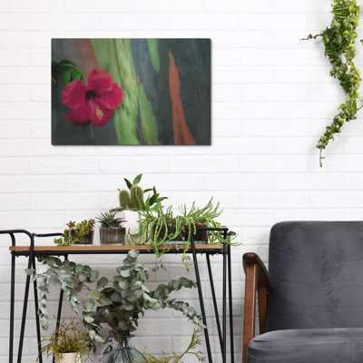 «Hibiscus» par Dennis Frates