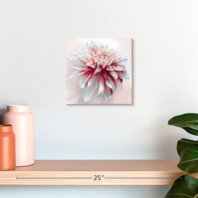 Harnek Red White Dahlia