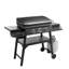 28" Outdoor Griddle With Hood