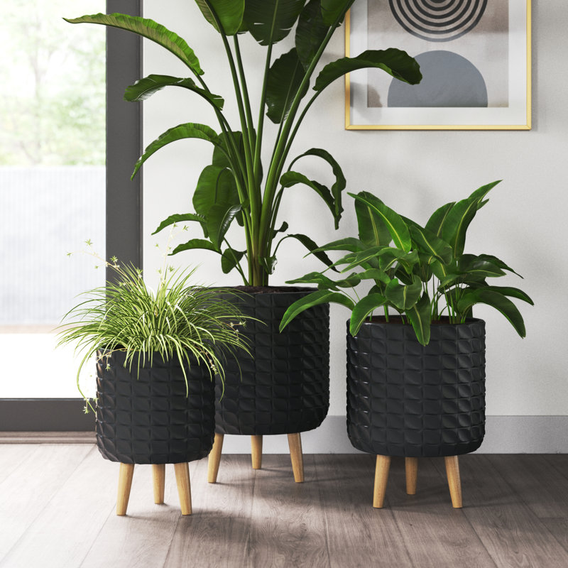 Pot à fleurs contemporain en bois, Noir
