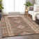 Machine Washable Indoor/Outdoor Claudian ACN1226 Brown Rug