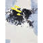 Gray And Yellow 3 Print by Simona Gocan-65790961-132455065