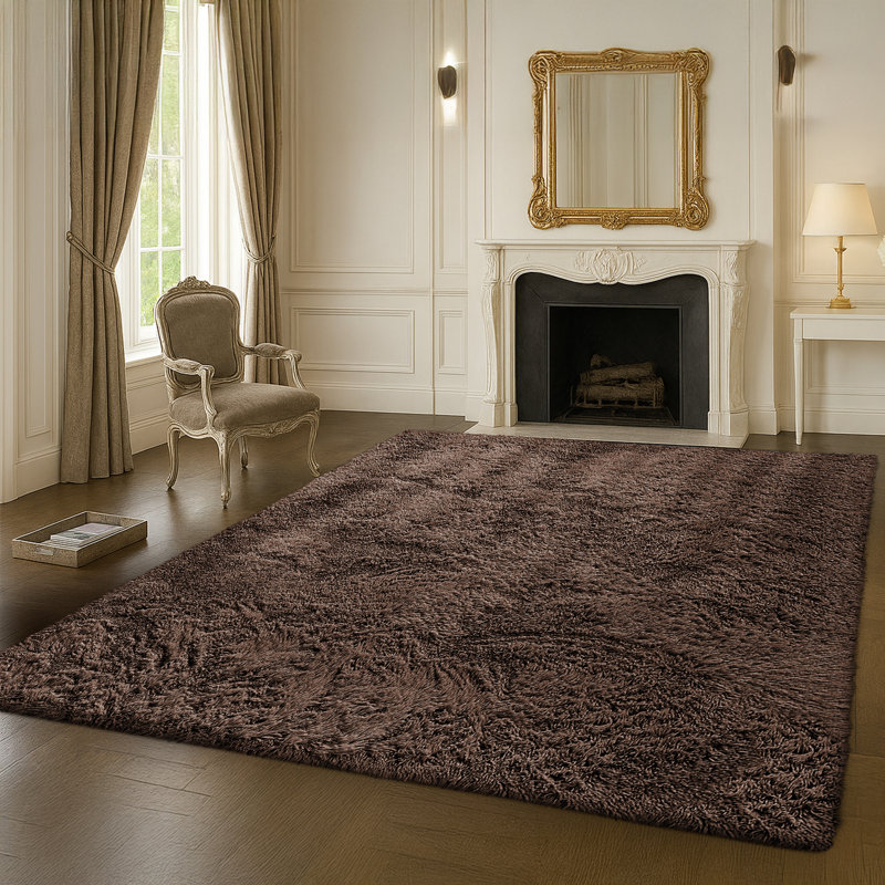 Luxurious Brown Fluffy  Shag Area Rug - Ultra Soft High Pile Fluffy Carpet for Living Room, Runner 60 x 220 cm