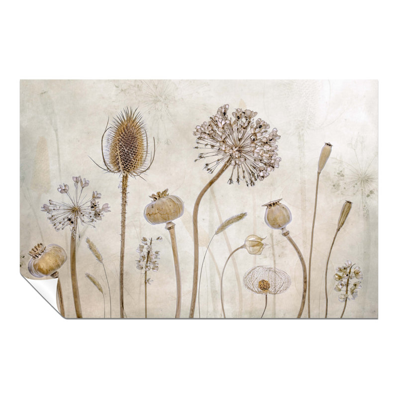 Growing Old - No Frame Print on Glass, 61cm H x 41cm W x 0.5cm D, Paper