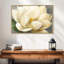 Fleur de magnolia sur fond gris-609330318-609330315