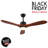 Aarshiya 52'' Ceiling Fan with LED Lights