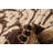 One-of-a-Kind 8'0" X 9'9" New Age Wool Area Rug in Tan/Dark Brown
