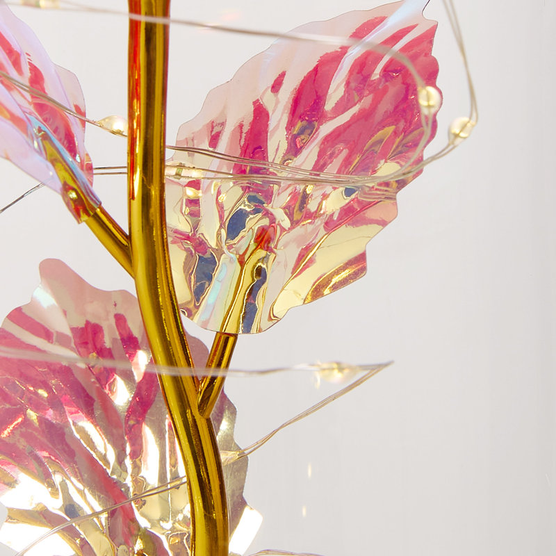 Cloche Or Water Globe, Golden/Red