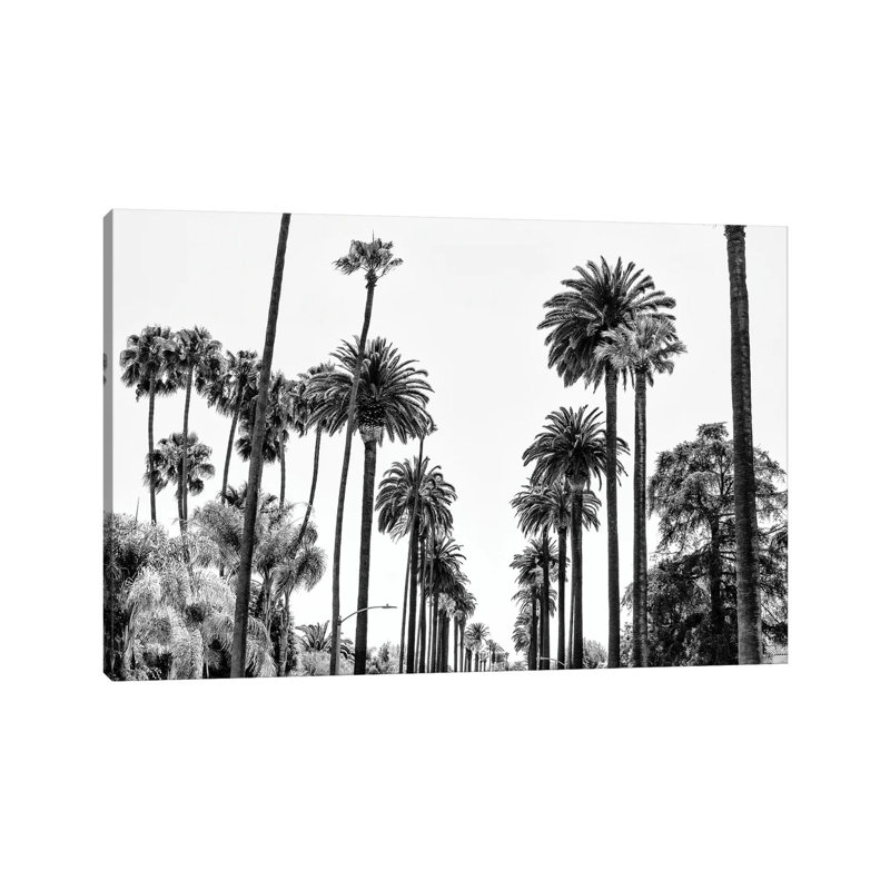 L.A Palm Alley 1 Piece Wrapped Canvas Wall Art, 101.6 cm H x 66.04 cm W x 3.175 cm D