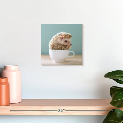 Crowle Hedgehog In A Teacup