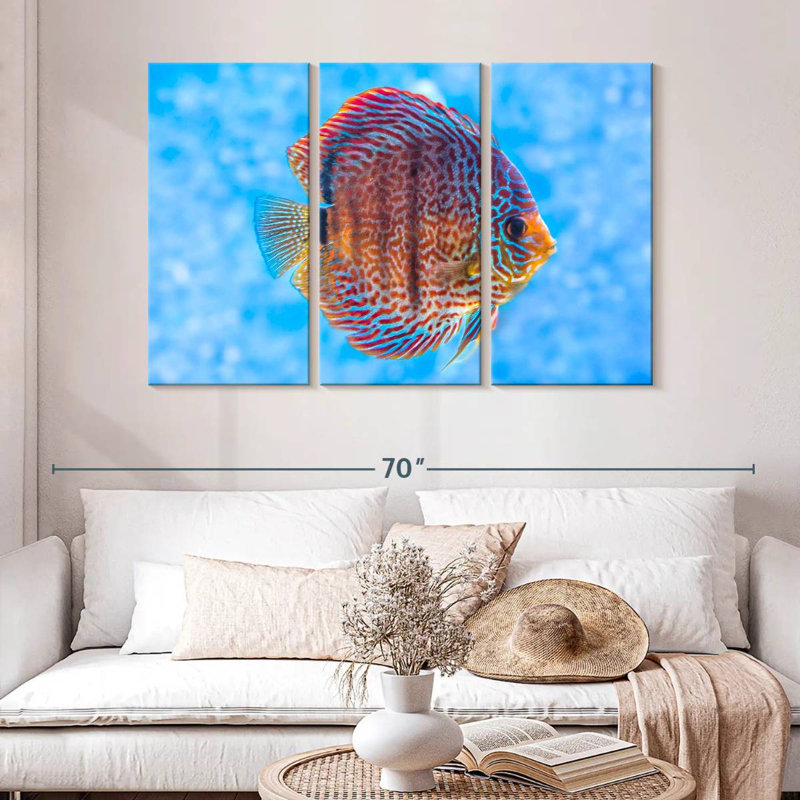 Brampt Freshwater Discus Fish, 32" H x 50" W
