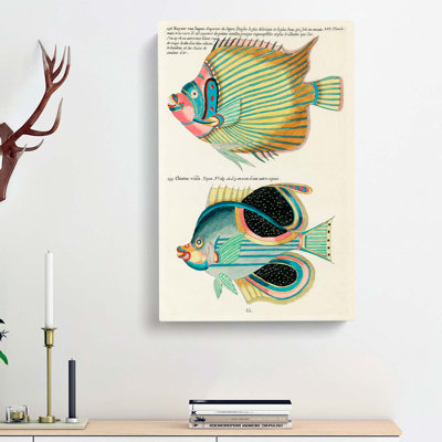 East Indies Fish Illustrations LVI by Louis Renard - Wrapped Canvas