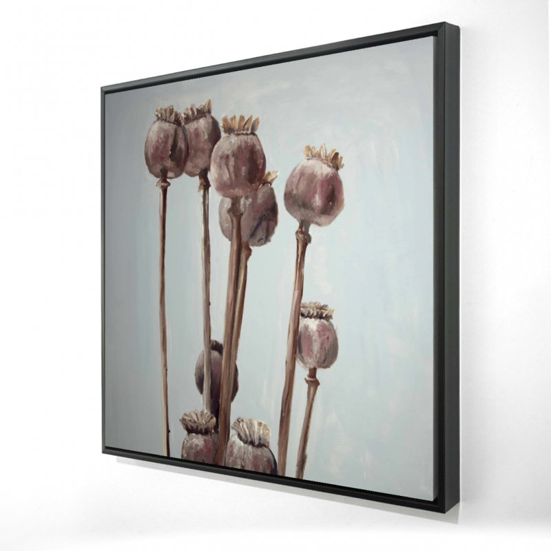 " Sepia Poppy Head Plants "