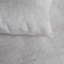 Chino Sham-61068851-61068852
