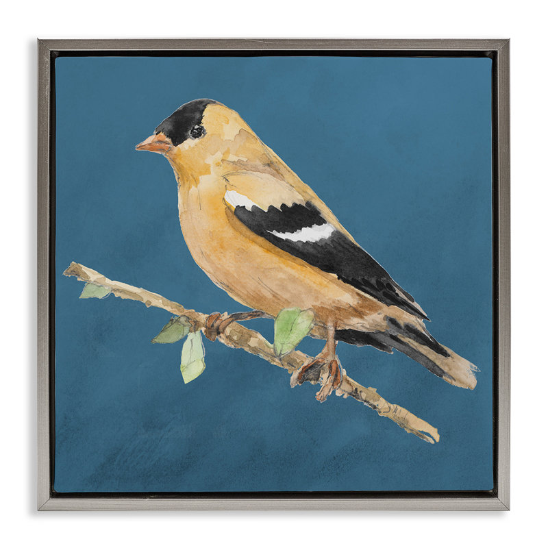 Oiseau traditionnel jaune sur toile flottante encadrée par Lanie Loreth, Cadre flottant gris lustré, H 18 po x l 18 po