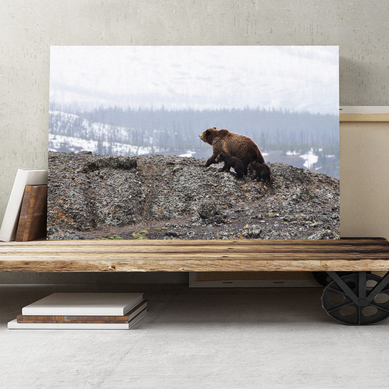 Brown Bear with Cubs Photographic - Wrapped Canvas, 40cm H x 60cm W