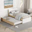 Lit simple moderne avec tête de lit blanc brillant et lit gigogne fonctionnel en chêne avec pieds hauts-121022353