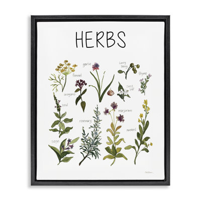 Cadre flottant avec carte d’identification Herbs, design par Carol Robinson