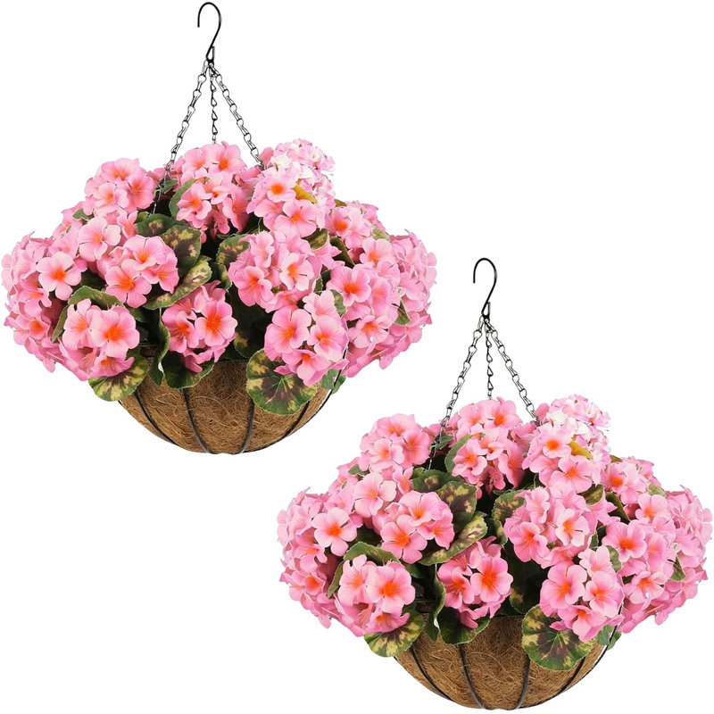 13.5cm Plant, Pink