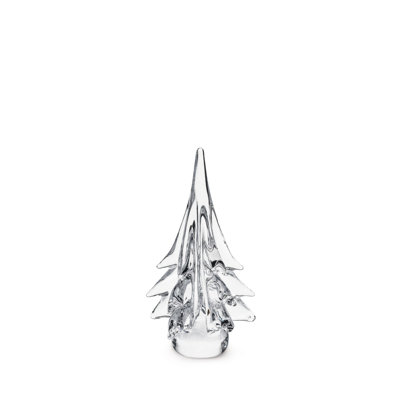 Spruce Evergreen