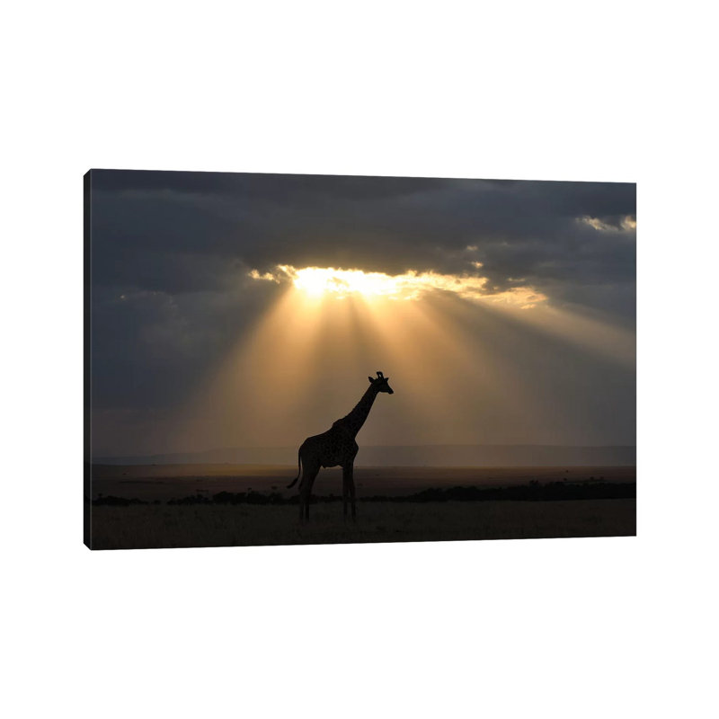 Sunset With Giraffe by Elmar Weiss - Wrapped Canvas Gallery-Wrapped Canvas Giclée, 66.04 cm H x 45.72 cm W
