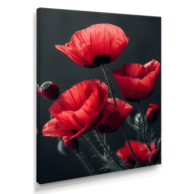 Rouge, noir, coquelicots, charme monochrome I - coquelicots, salon d'art mural