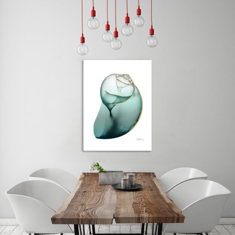 Shimmering Snail 3 1 Piece Wrapped Canvas Wall Art, 41 cm H x 30 cm W