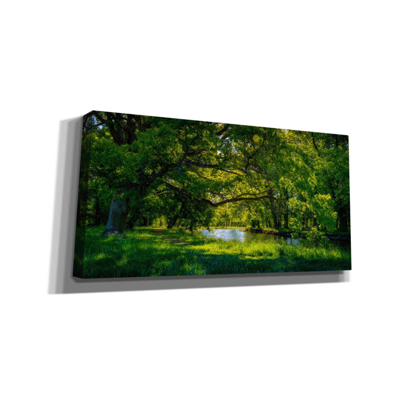 «Summer Morning In The Park» par Nicklas Gustafsson, art mural sur toile, H 12 po x l 24 po x P 0,75 po