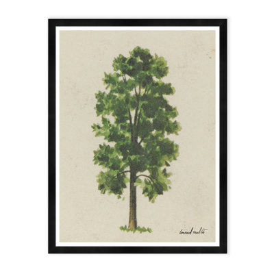 Meadow Tree Print by Tim Klein
