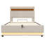 Lift Up Storage Bed Frame-1669381790-1669381791