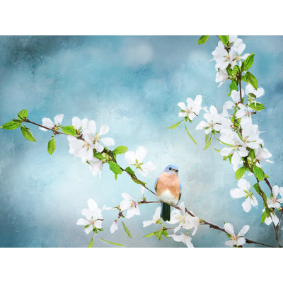 Blue Birds In Cherry Blossoms 2