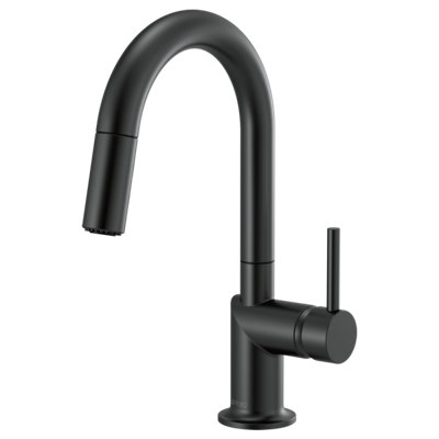 Odin® Pull-Down Prep Faucet with Arc Spout