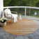  Machine Washable Indoor/Outdoor Chantille ACN996 Paprika Area Rug