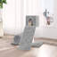 Macsen Cat Perch-522299612