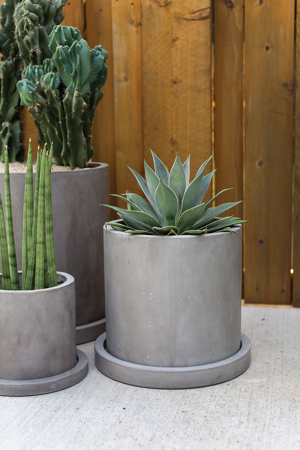 Lemont 18" Concrete Pot Planter, 12.25" H x 14" W x 14" D