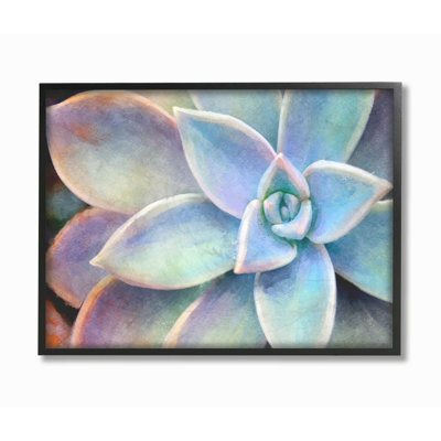 Succulent Plant Vibrant Bloom, peinture