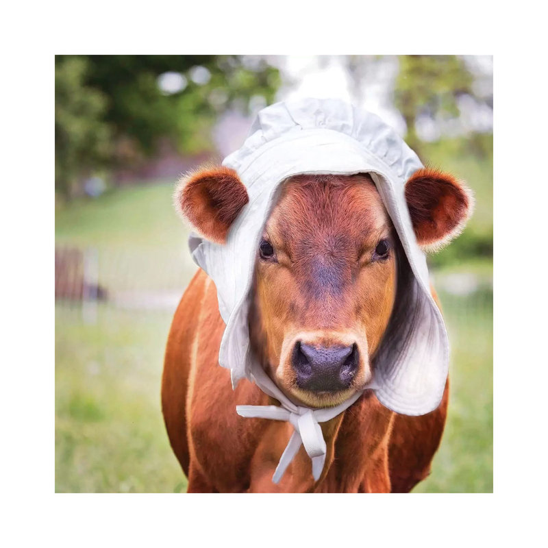 Miss Maria by Karen Burke - Wrapped Canvas Print, 30.48cm H x 30.48cm W x 1.91cm D