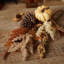  Neutral Autumn Pick