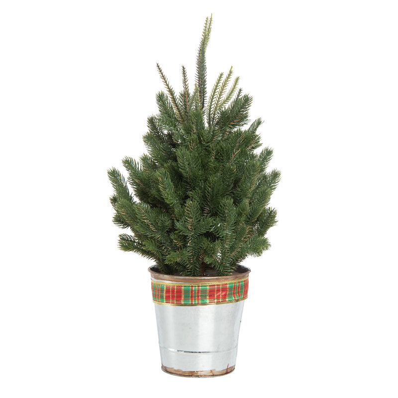 Artificial Multicolor Christmas Tree in Bucket with Plaid Bow, 24" H x 12" W x 12" D
