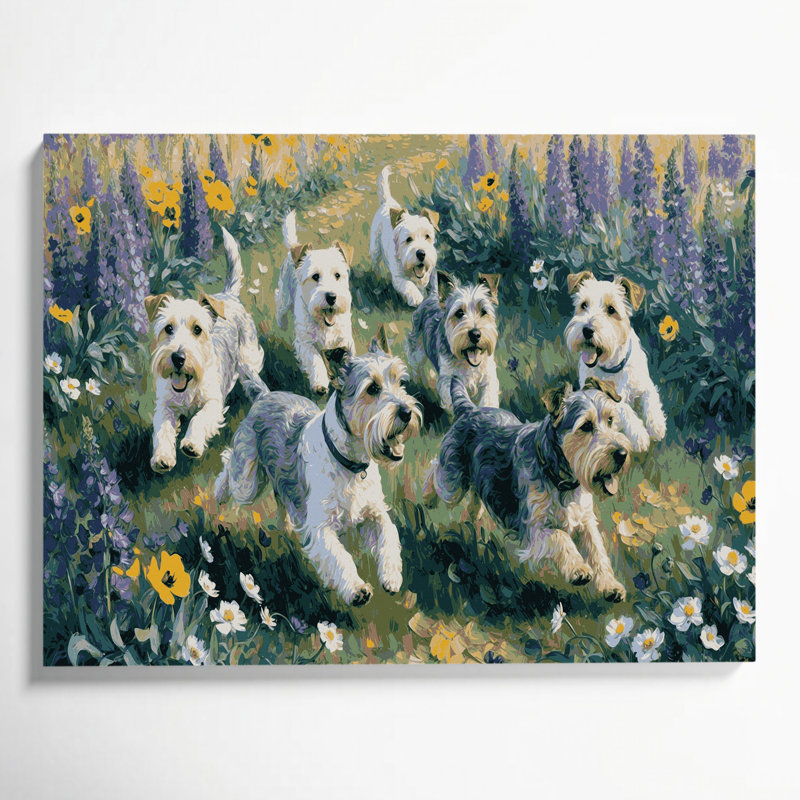 «Dogs Cesky Terrier», art mural sur toile grise, H 12 po x l 18 po
