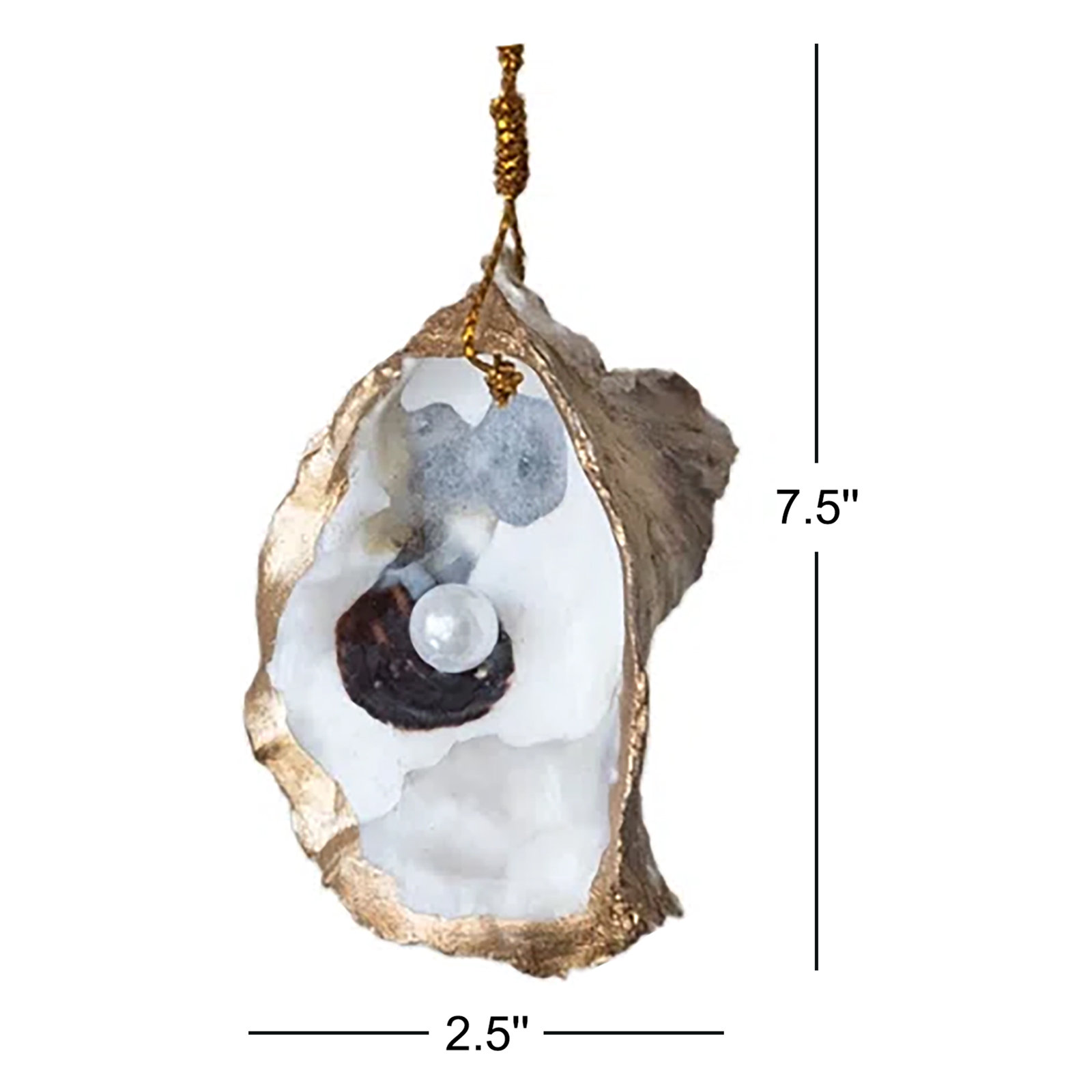 Oyster Shell Ornament With Faux Pearl And Gold Edge