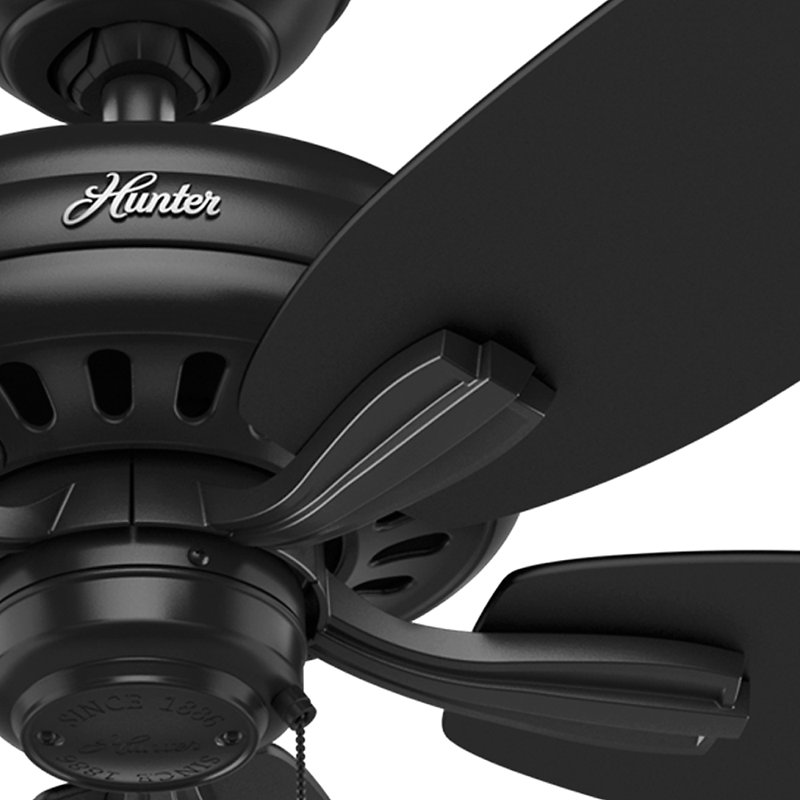 52" Newsome 5 - Blade Outdoor Standard Ceiling Fan with Pull Chain, Black