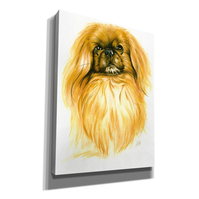 'Peking-Ese' by Barbara Keith, Canvas Wall Art, 16" H x 12" W x 0.75" D