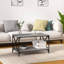 Isuf Four Leg Coffee Table with Storage-558451708-558451696