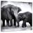 Elephant BW II
